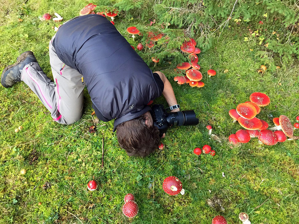 Alison Pouliot crouched on green ground photographing red mushrooms