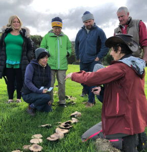 Group of people outside looking at mushrooms