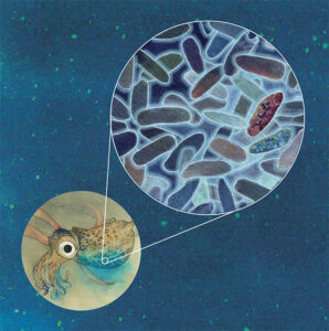 Internal page from The Squid, the Vibrio and the Moon