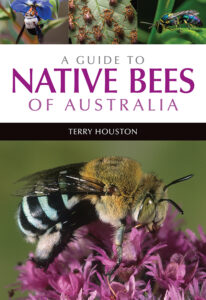 Front cover of A Guide to Native Bees of Australia