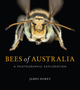 Front cover of Bees of Australia