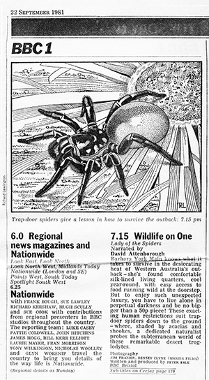 Newspaper clipping with illustration of spider