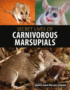 Front cover of Secret Lives of Carnivorous Marsupials