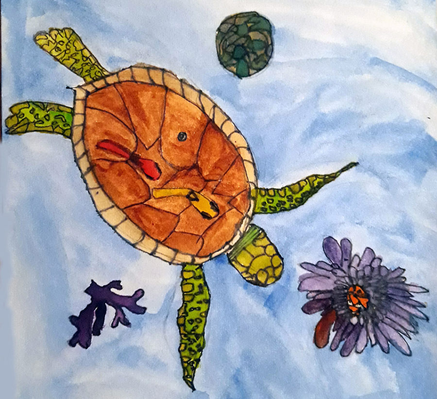 Drawing by 10 year old of a turtle