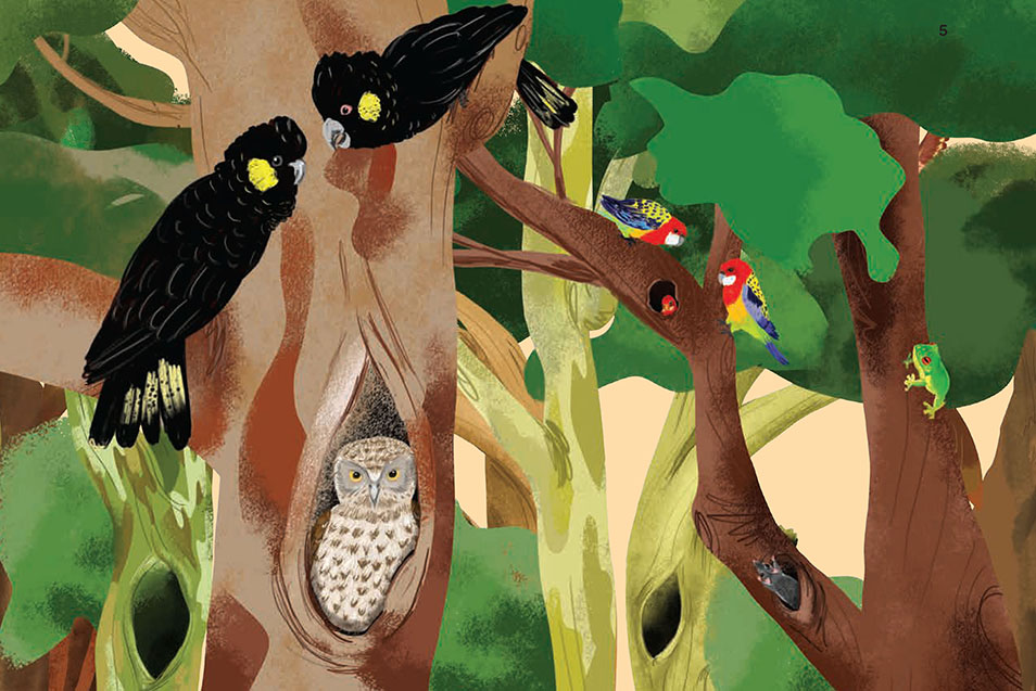 An illustration of animals in tree hollows