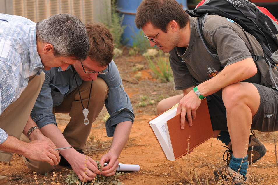 Dr Daniel Murphy with colleagues inspecting a plant in the ground.