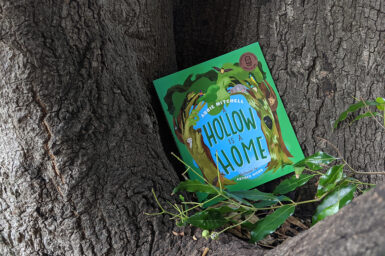 A Hollow is a Home book nestled in a tree hollow