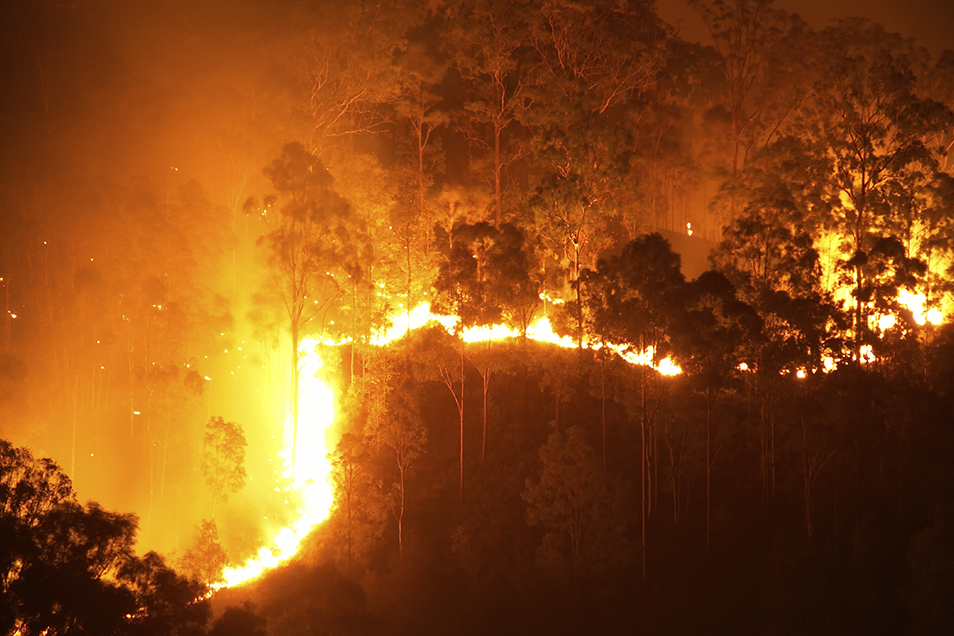 A bushfire burning through bushland.