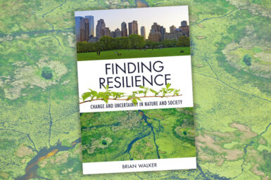 Cover of Finding Resilience featuring photos of a city and the Okavango Delta, overlaid on the same photo of the Okavango Delta