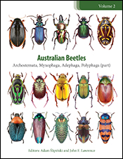Cover of Australian Beetles Volume 2, featuring 15 beetles of various shapes, colours and sizes in neat rows of five against a white background.