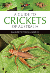 Cover of A Guide to Crickets of Australia, featuring a large photo of Cardiodactylus novaeguineae and smaller photos of three other crickets.