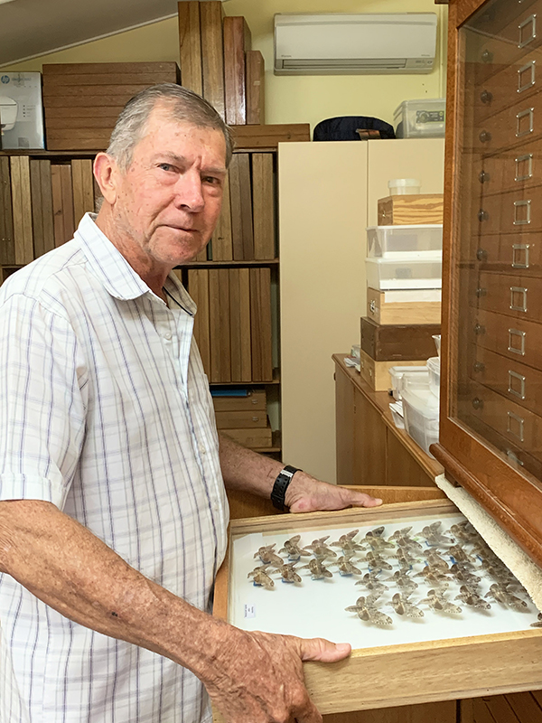 David Lane pulling out a cabinet drawer containing a display of moth specimens.