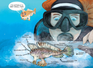 An illustrated page from Hold On! Saving the Spotted Handfish featuring an illustration of a spotted handfish in the ocean being inspected by a scientist in scuba gear. Scientific label on the handfish point out the physical features of the handfish.