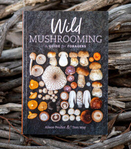 Photo of Wild Mushrooming book sitting among dry wood pile