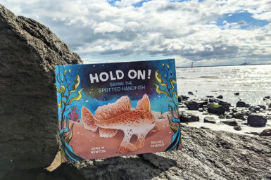 A copy of the book Hold On! Saving the Spotted Handfish situated on rocks on sea front.