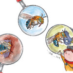 Close-up illustrations of three blue-banded bees under a magnifying glass and a boy in the bottom right corner