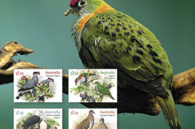Photo of a Superb Fruit Dove with 4 stamps in foreground