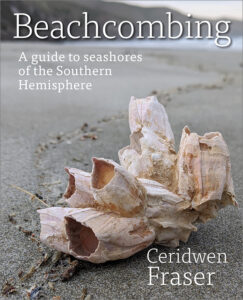 Cover of 'Beachcombing' featuring a photo of a washed up cluster of cream-coloured barnacle shells upon wet sand at a picturesque beach.