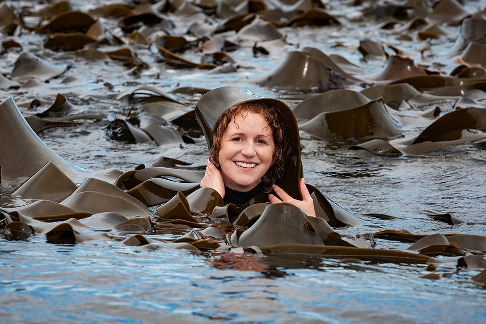 Photo of Ceridwen Fraser in the ocean immersed up to her neck, surrounded by a multitude of large, dark green strands of kelp. She is smiling and draping one of the flat, wide kelp strands over her head.