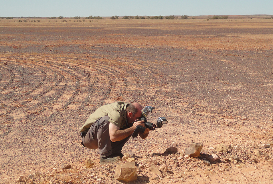 Mark Sanders crouching on a gravelly red dirt plain, pointing his camera at a small reptile perched on a rock.