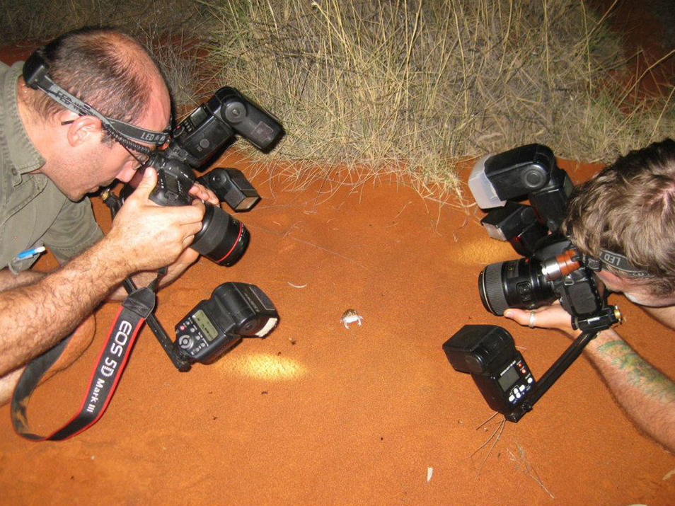 Mark Sanders and Angus McNab each holding a large camera with extra attachments, crouched over a small frog that is sitting on the red dirt.