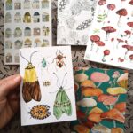 A photo of five postcards decorated with illustrations, including moths and beetles, mushrooms, houses, and plants. A person's hand holds the postcard with illustrations of the beetles and moths.