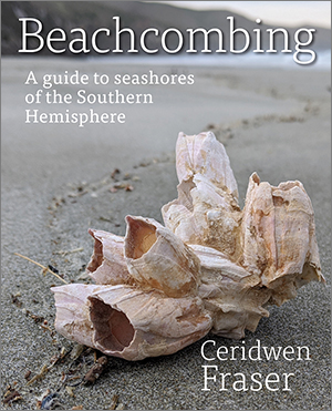 Cover of 'Beachcombing' featuring a photo of a washed up cluster of cream-coloured barnacle shells upon wet sand at a picturesque beach.