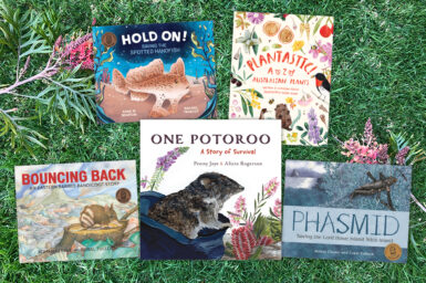 Five kids book covers on a background of real life grass. The books are Hold On, Plantastic, Bouncing Back, One Potoroo, and Phasmid