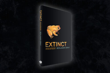 3D front cover of book Extinct on black background. Cover is black with bright yellow frog featured.