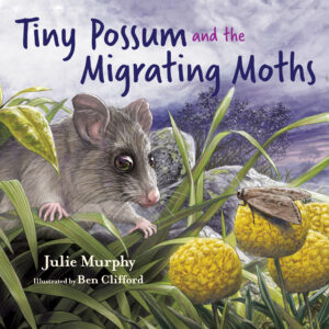 Cover of 'Tiny Possum and the Migrating Moths', featuring an illustration of a possum peering out of grassy vegetation at a moth perched upon a yellow flowerhead, with a cloudy night sky above.
