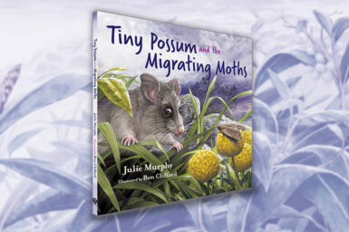 Cover of 'Tiny Possum and the Migrating Moths', featuring an illustration of a possum peering out of grassy vegetation at a moth perched upon a yellow flowerhead, with a cloudy night sky above. The cover is overlaid on an illustration of grassy vegetation.