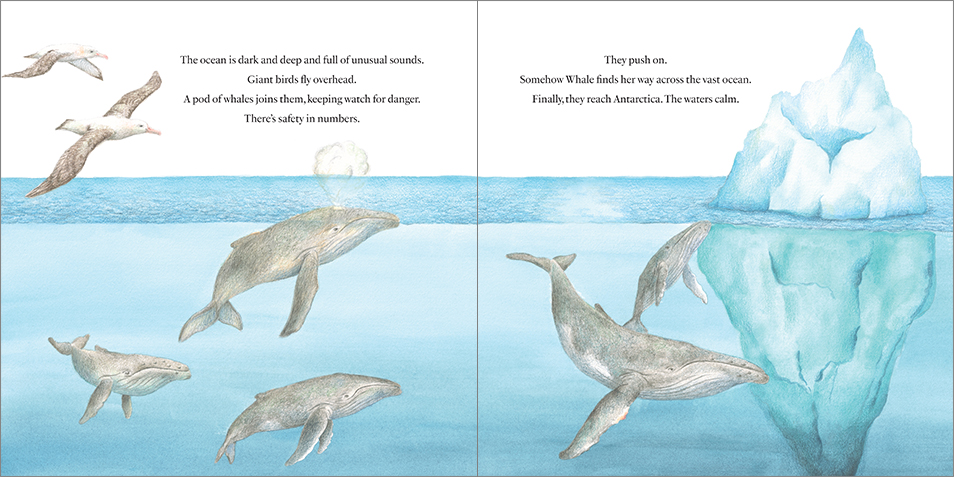 A double-page spread from 'The Voyage of Whale and Calf'.