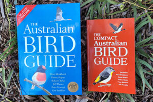 Two books, one with a bright blue cover, the other smaller and bright orange, lie on a bed of eucalypt leaves.
