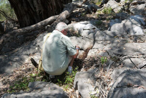 Author John Stanisic kneeling down at rocks searching for snails.