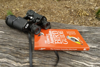 A copy of The Compact Australian Bird Guide resting on a fallen log, with a pair of binoculars waiting nearby.