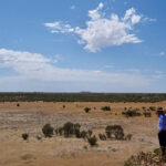 Steve Morton looking out over a vast desert landscape with blue skies above.
