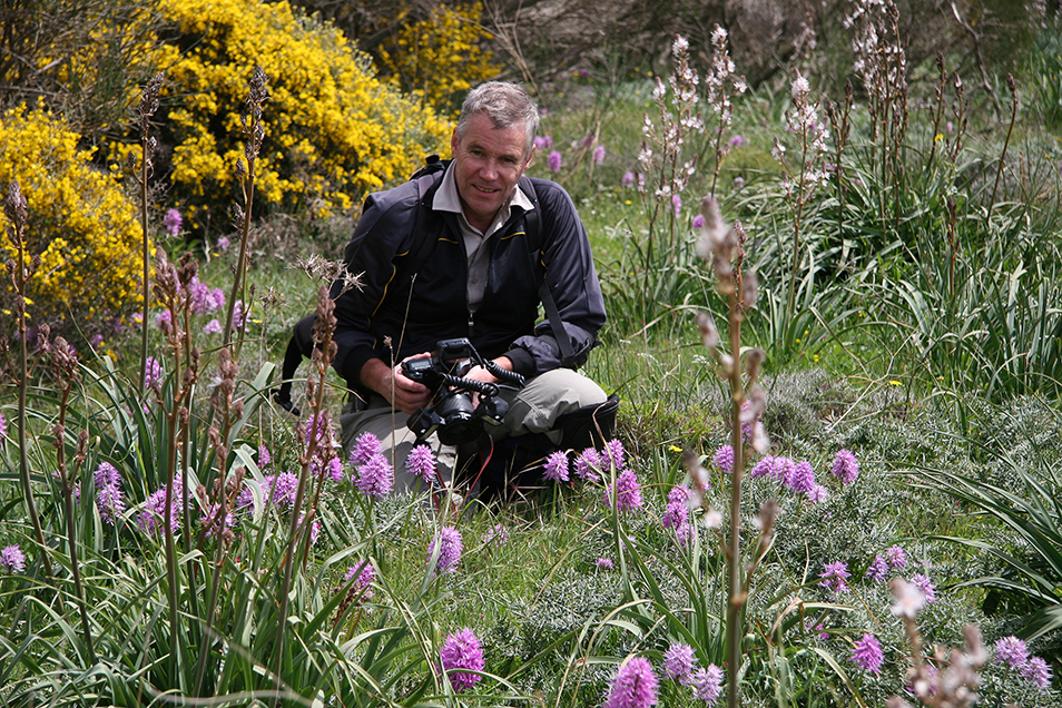 Gary Backhouse kneels in a field of wildflowers, surrounded by multitudes of pink flowering orchids.