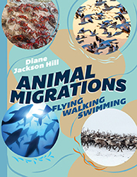 The children's book Animal Migrations featuring photos of crabs climbing over rocks, birds flying, reindeer walking across snow and a pod of whales swimming underwater.