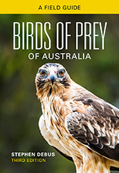 Birds of Prey of Australia featuring a little eagle staring directly ahead, on a green background