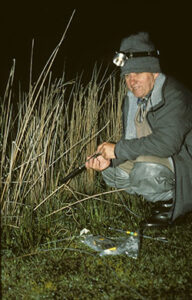 Murray Littlejohn crouches in wetlands at night.