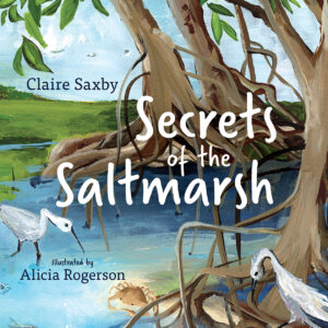 Cover of 'Secrets of the Saltmarsh', featuring an illustration of a saltmarsh with leafy mangrove trees at the edge of the water, and wading waterbirds in the foreground. 