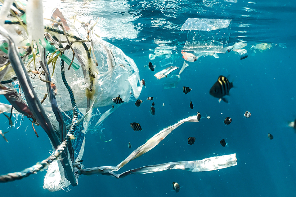 A collection of entwined plastic objects and rope in the ocean, surrounded by a school of small black and white striped fish.