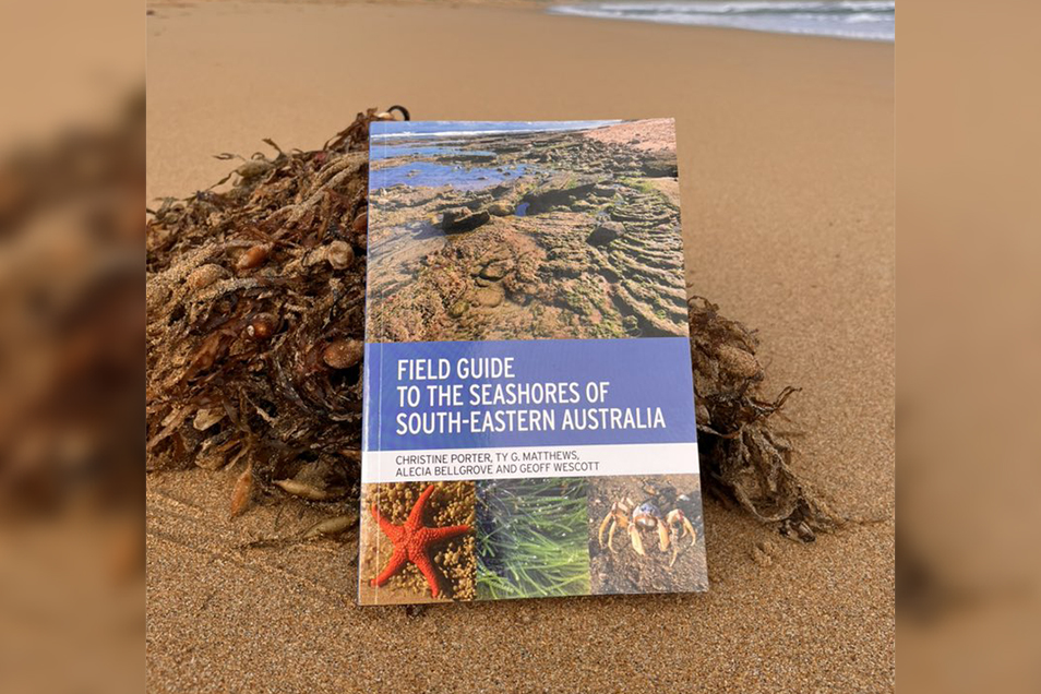A copy of <i>Field Guide to the Seashores of South-Eastern Australia</i> leaning up against a pile of seaweed on a beach.