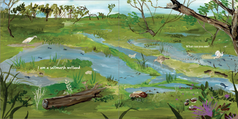 An illustrated spread from Secrets of the Saltmarsh, showing the green wetland environment and the plants, birds and other animals that live there.