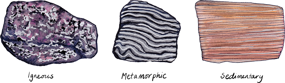Illustration showing the pitted texture of Igneous rock, curved layers of Metamorphic rock and the sandy orange and red layers of Sedimentary rock.